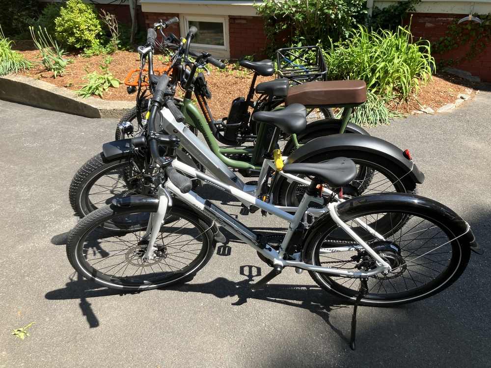 4 e-bikes lined up in a row in a driveway; each is a different model.
